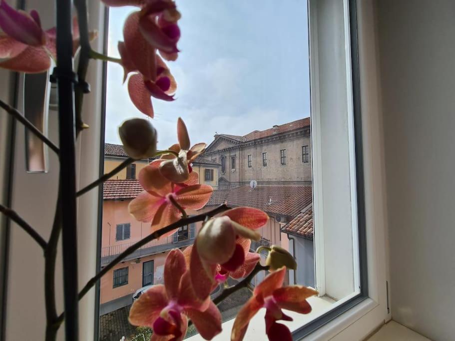 Cuore Di Alba Charming Apartment 外观 照片